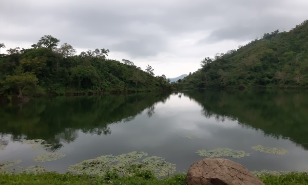 পর্যটক হেনস্তায় ডুবছে পর্যটন খাত